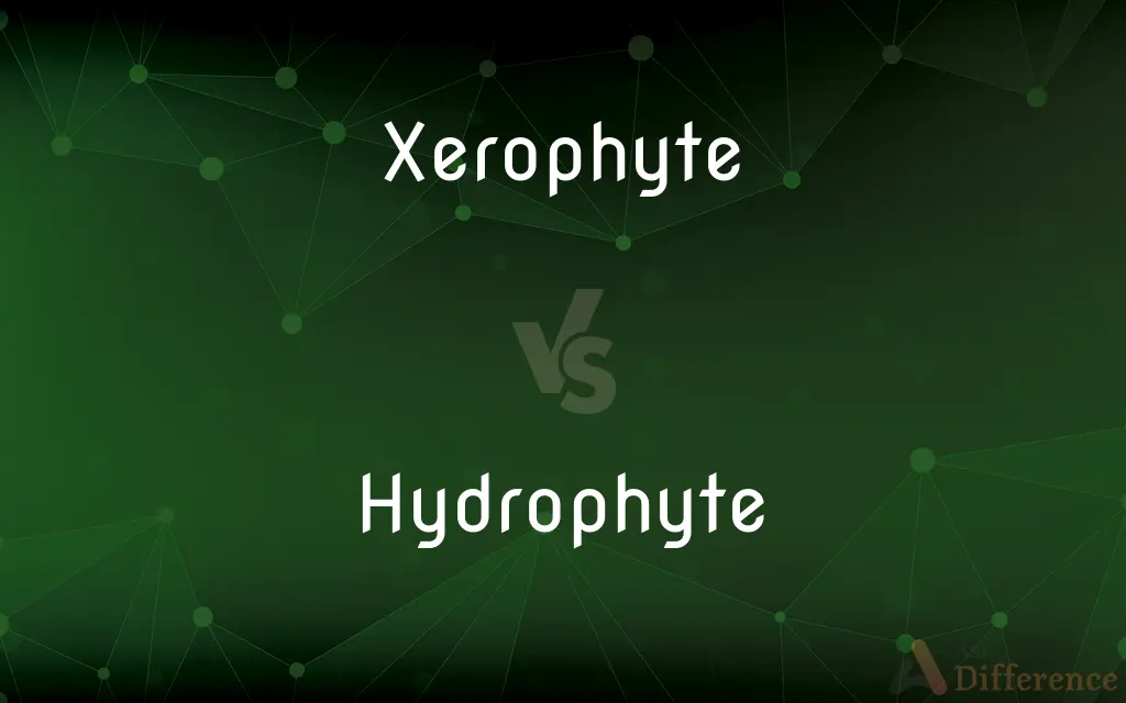 Xerophyte vs. Hydrophyte — What's the Difference?