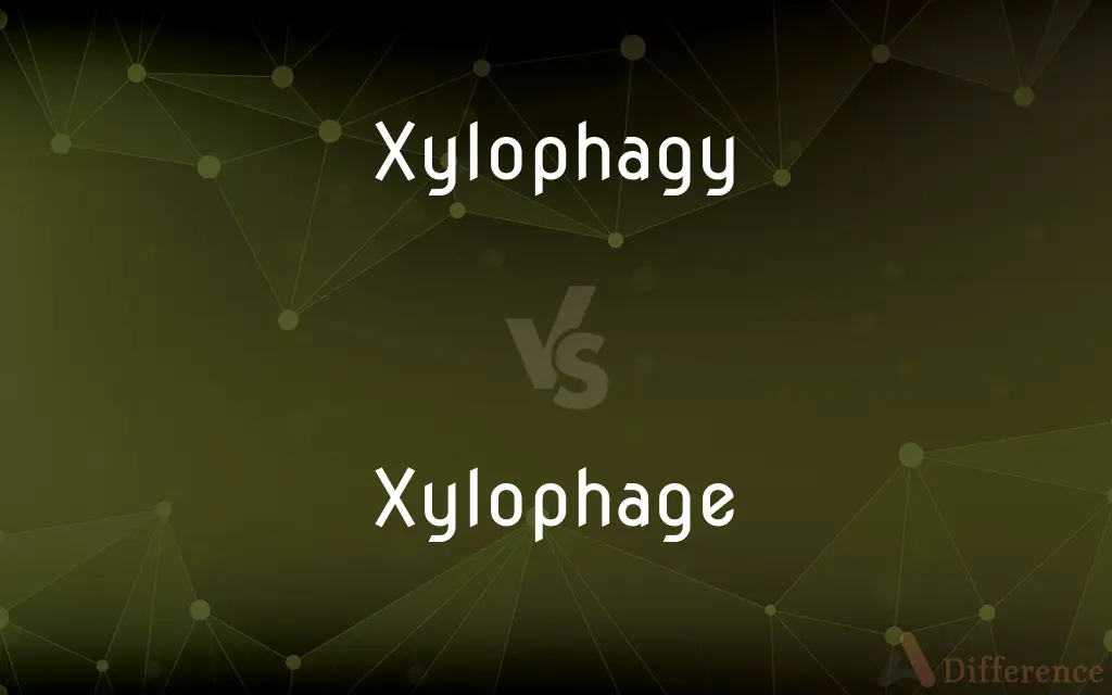 Xylophagy vs. Xylophage — What's the Difference?