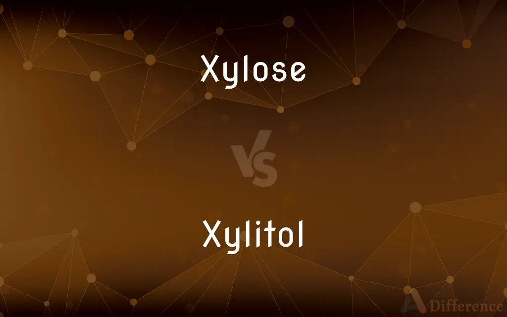 Xylose vs. Xylitol — What's the Difference?