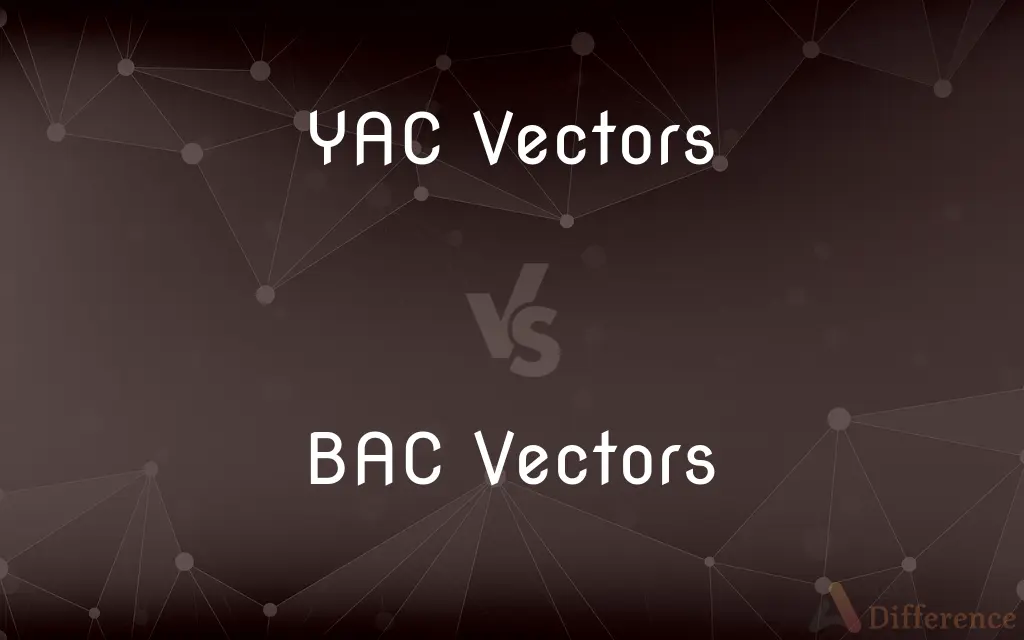 YAC Vectors vs. BAC Vectors — What's the Difference?