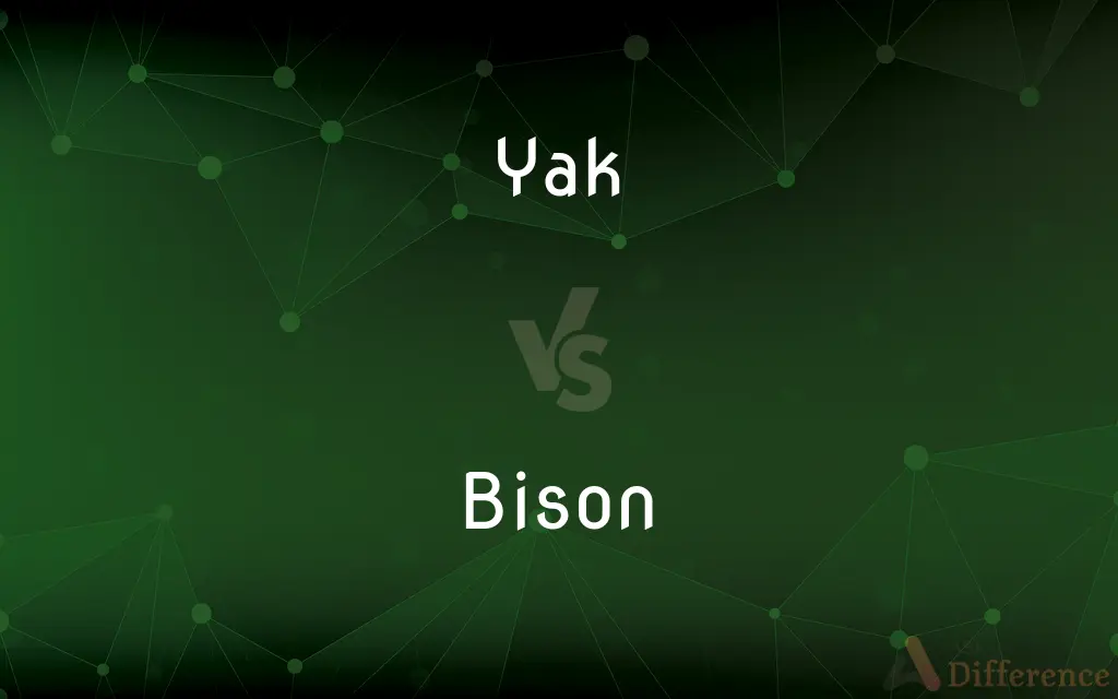 Yak vs. Bison — What's the Difference?