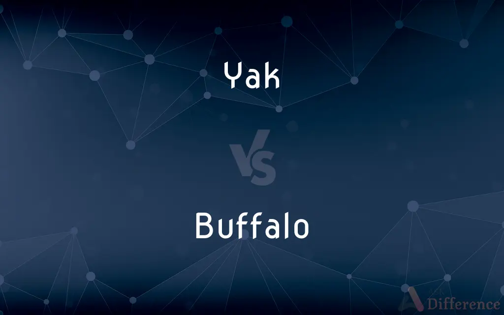 Yak vs. Buffalo — What's the Difference?