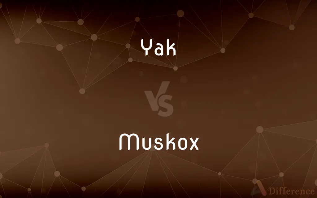 Yak vs. Muskox — What's the Difference?