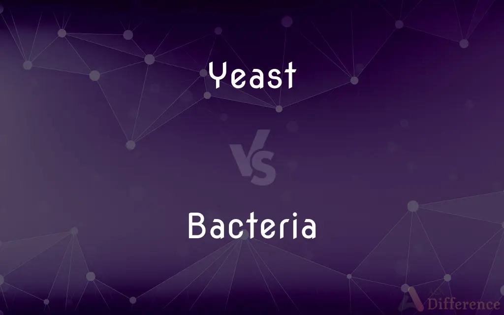 Yeast vs. Bacteria — What's the Difference?