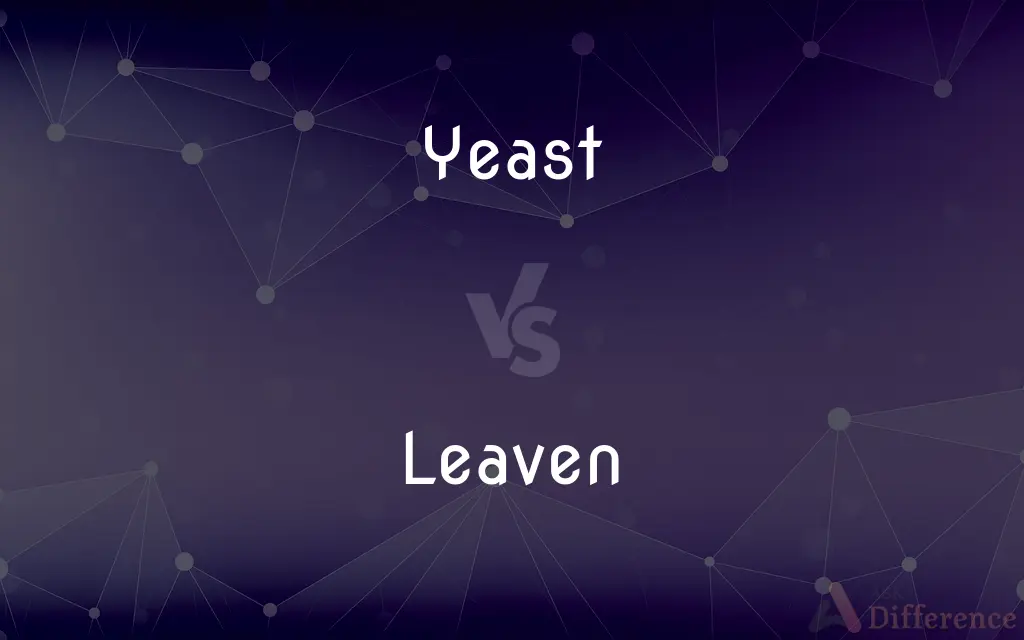 Yeast vs. Leaven — What's the Difference?