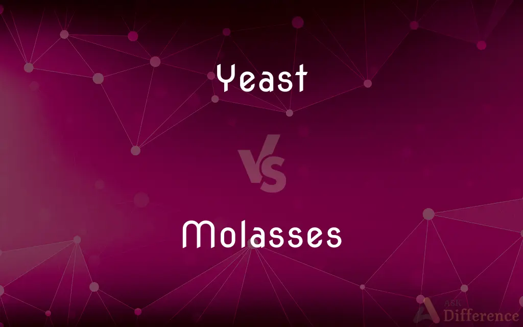 Yeast vs. Molasses — What's the Difference?