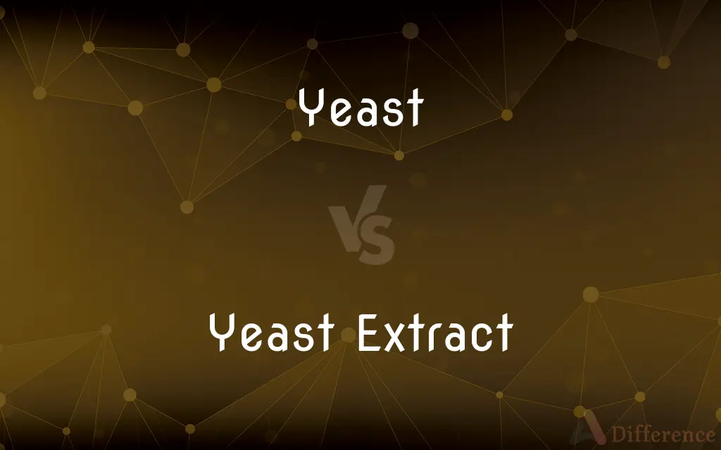 Yeast vs. Yeast Extract — What's the Difference?