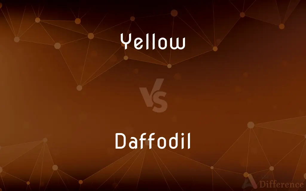 Yellow vs. Daffodil — What's the Difference?