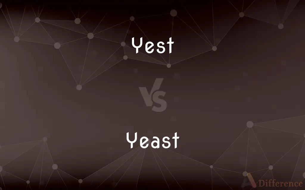 Yest vs. Yeast — What's the Difference?