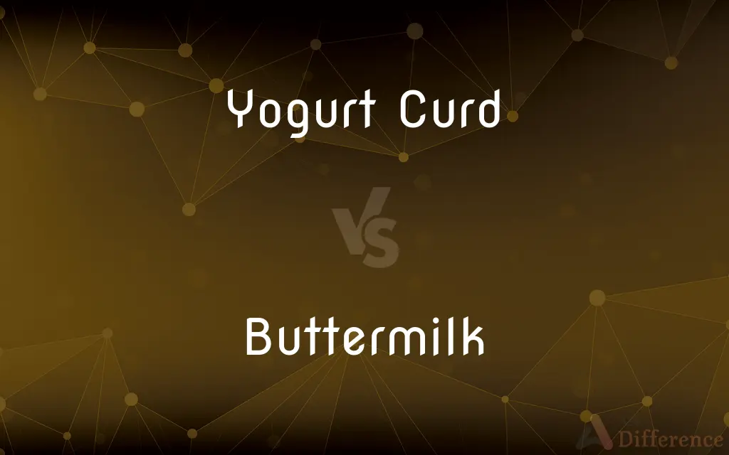 Yogurt Curd vs. Buttermilk — What's the Difference?