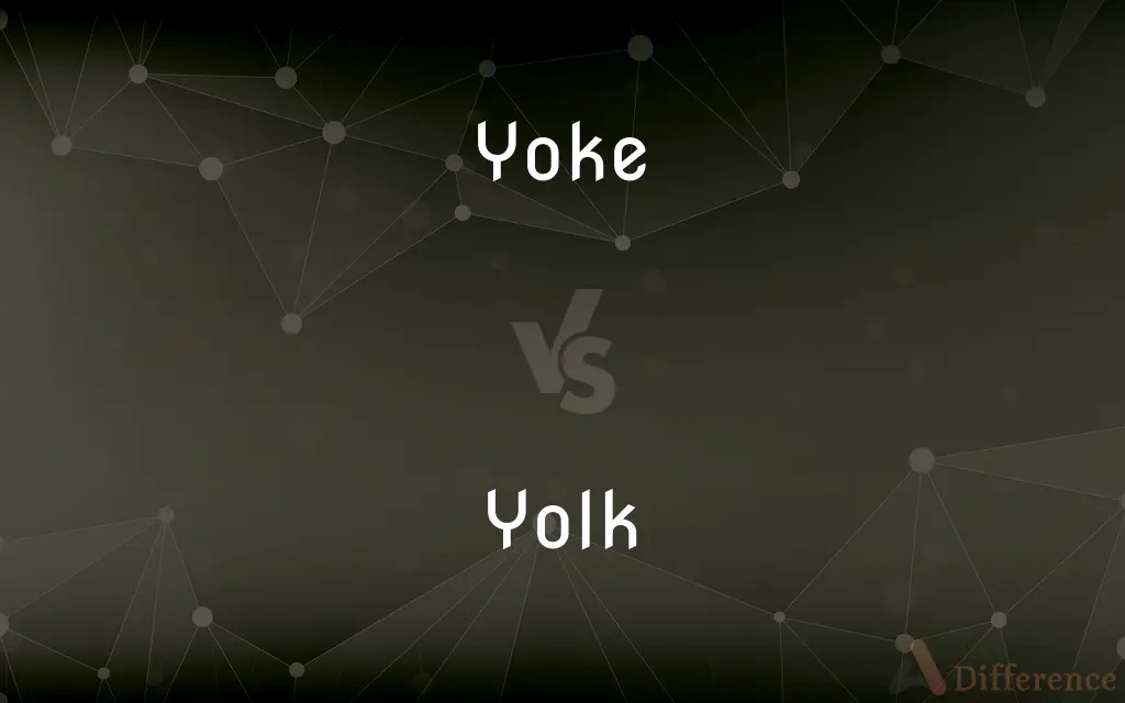 Yoke vs. Yolk — What's the Difference?