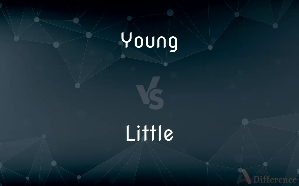 Young vs. Little — What's the Difference?