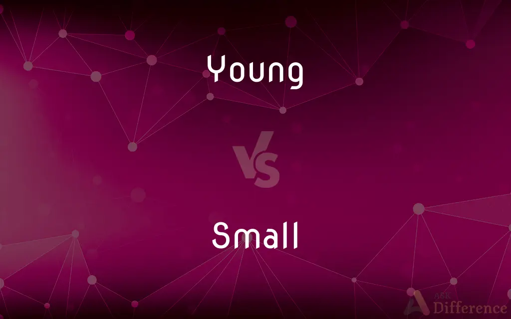 Young vs. Small — What's the Difference?