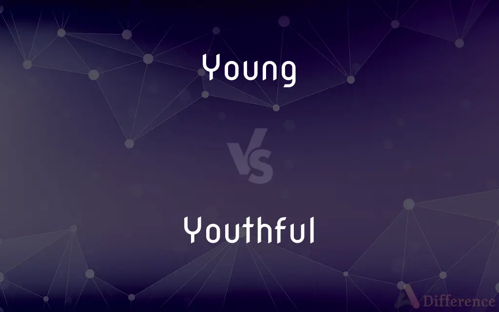 Young vs. Youthful — What's the Difference?