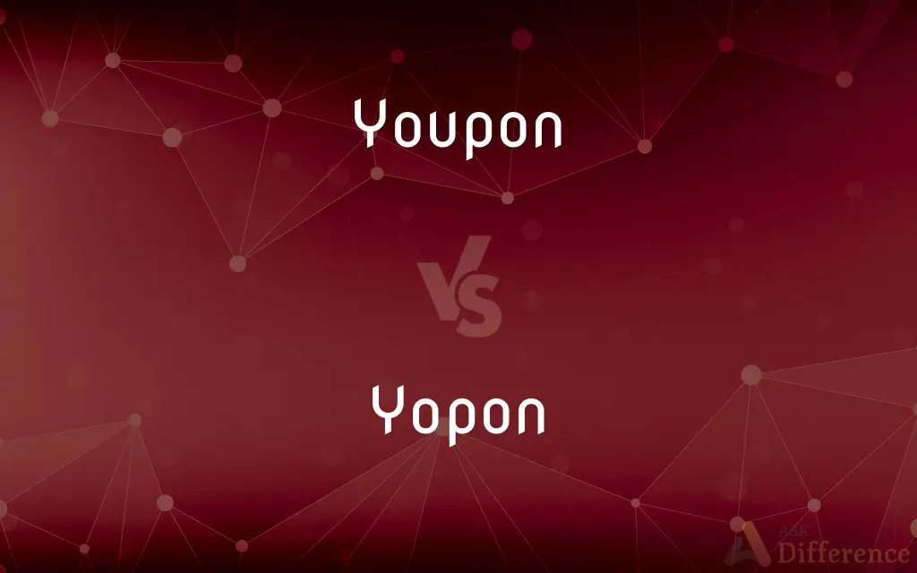 Youpon vs. Yopon — What's the Difference?