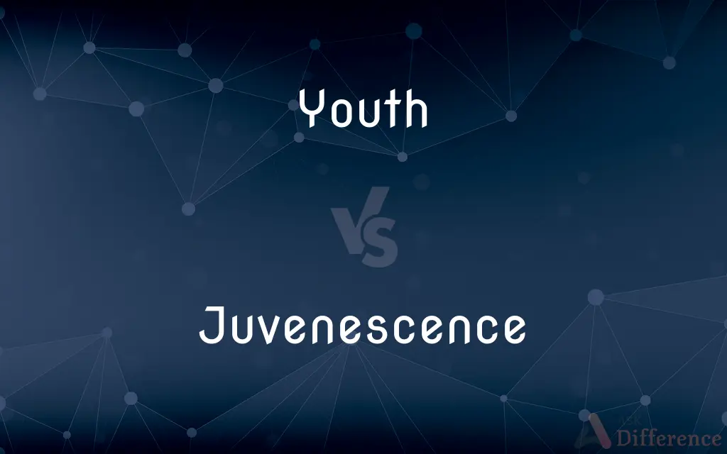Youth vs. Juvenescence — What's the Difference?