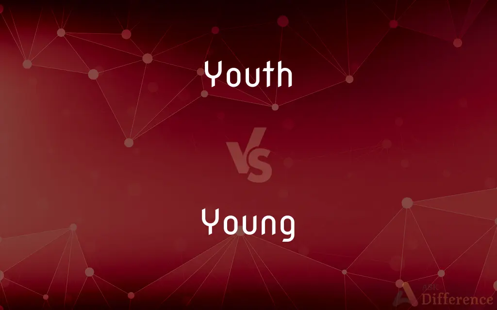 Youth vs. Young — What's the Difference?