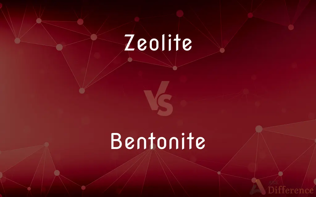 Zeolite vs. Bentonite — What's the Difference?