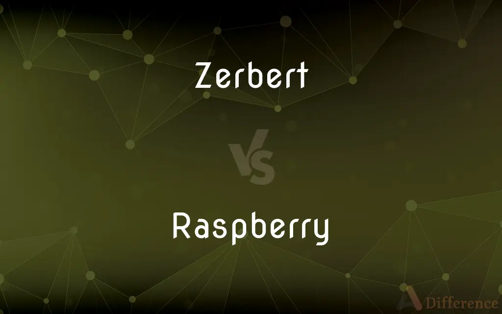 Zerbert vs. Raspberry — What's the Difference?