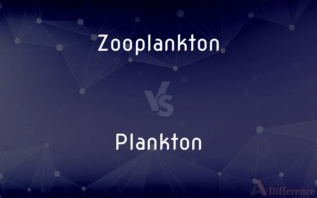 Zooplankton vs. Plankton — What's the Difference?