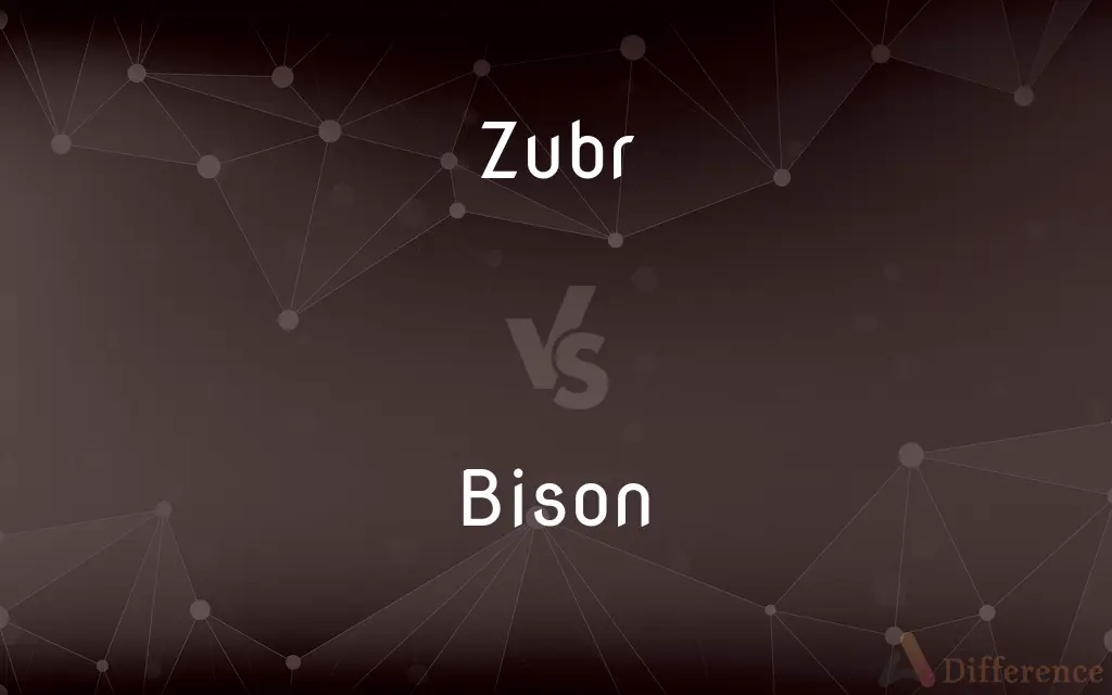 Zubr vs. Bison — What's the Difference?