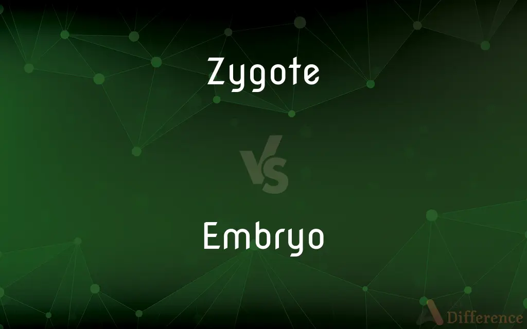 Zygote vs. Embryo — What's the Difference?